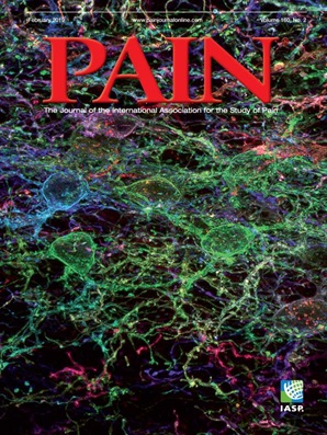 PAIN Online
