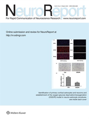 NeuroReport Online