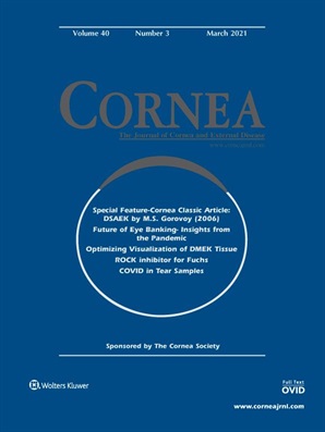 Cornea